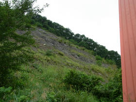 20110826_023.jpg