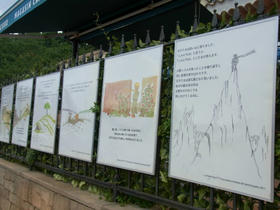 20110826_026.jpg