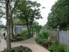 20110826_028.jpg