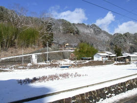 20120106_004.jpg