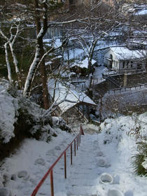 20120106_009.jpg