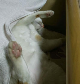 20120106_001.jpg