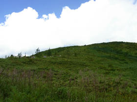 20120912_004.jpg