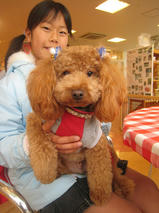 徹くん＆仁くん　T