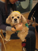 ひなちゃんのバースデー！！