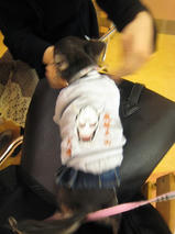 TONOくん＆COCOLOちゃん　T