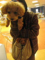 タッチ君とミリーちゃんｍｓ