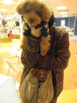 タッチ君とミリーちゃんｓ