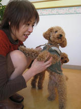 ぷーすけ＆ごんべえちゃんｓ