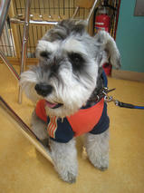 A(エース）くん　T