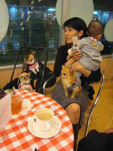 プリン・マリン・レア・ちょこ・トーイ・せな・花・空