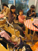 プリン・マリン・レア・ちょこ・トーイ・せな・花・空 