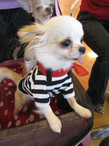 すももちゃんｓ