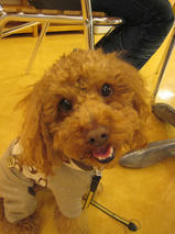 小太郎ちゃんｓ