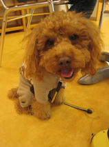 小太郎ちゃんｓ