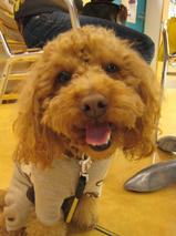 小太郎ちゃんｓ