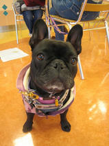 ココナッツちゃん　T