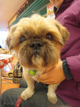 真太郎ちゃんｓ