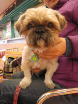 真太郎ちゃんｓ