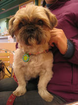 真太郎ちゃんｓ