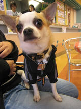 ジャックちゃんｓ