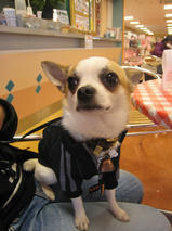 ジャックちゃんｓ