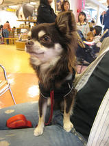 ジャックちゃんｓ