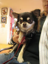 ジャックちゃんｓ