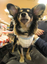 メリーちゃんｓ