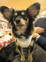 めりーちゃんｓ