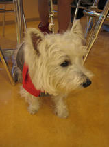 パールちゃんｓ