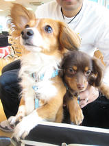 ティオちゃんｓ