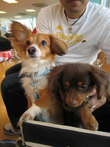 ティオちゃんｓ