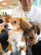 ティオちゃんｓ