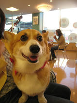 フェーリーちゃんｓ