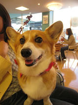 フェーリーちゃんｓ