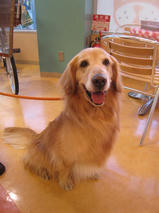 セーラちゃんｓ