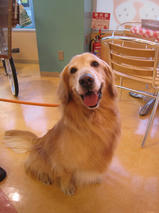 セーラちゃんｓ