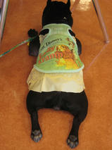 ココナッツちゃん　T