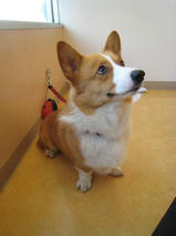 ランディちゃんｓ