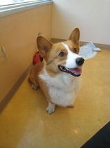 ランディちゃんｓ