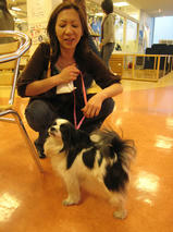 プリンちゃんｓ