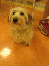 ポッキーちゃんｓ