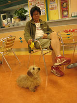 ポッキーちゃんｓ