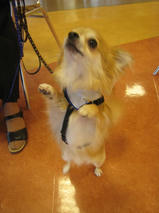 燻輝くん＆珠希ちゃん　T