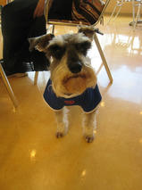 ショコラくん　T