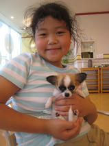 かのんちゃん　T