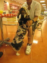 桃夏（ももか）ちゃん　T