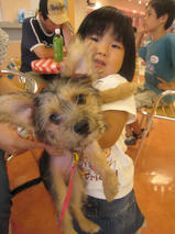 リチャードくん　T