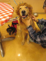 タケオくん＆イソロクくん　T　